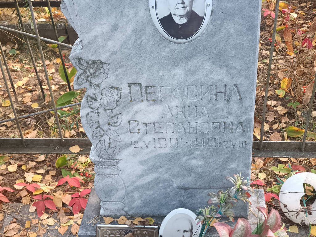 Пегасина Анна Степановна