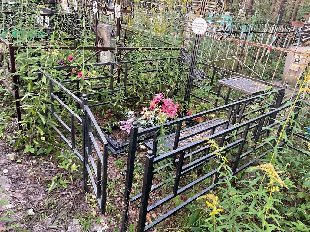 Медянцева Елизавета Ивановна