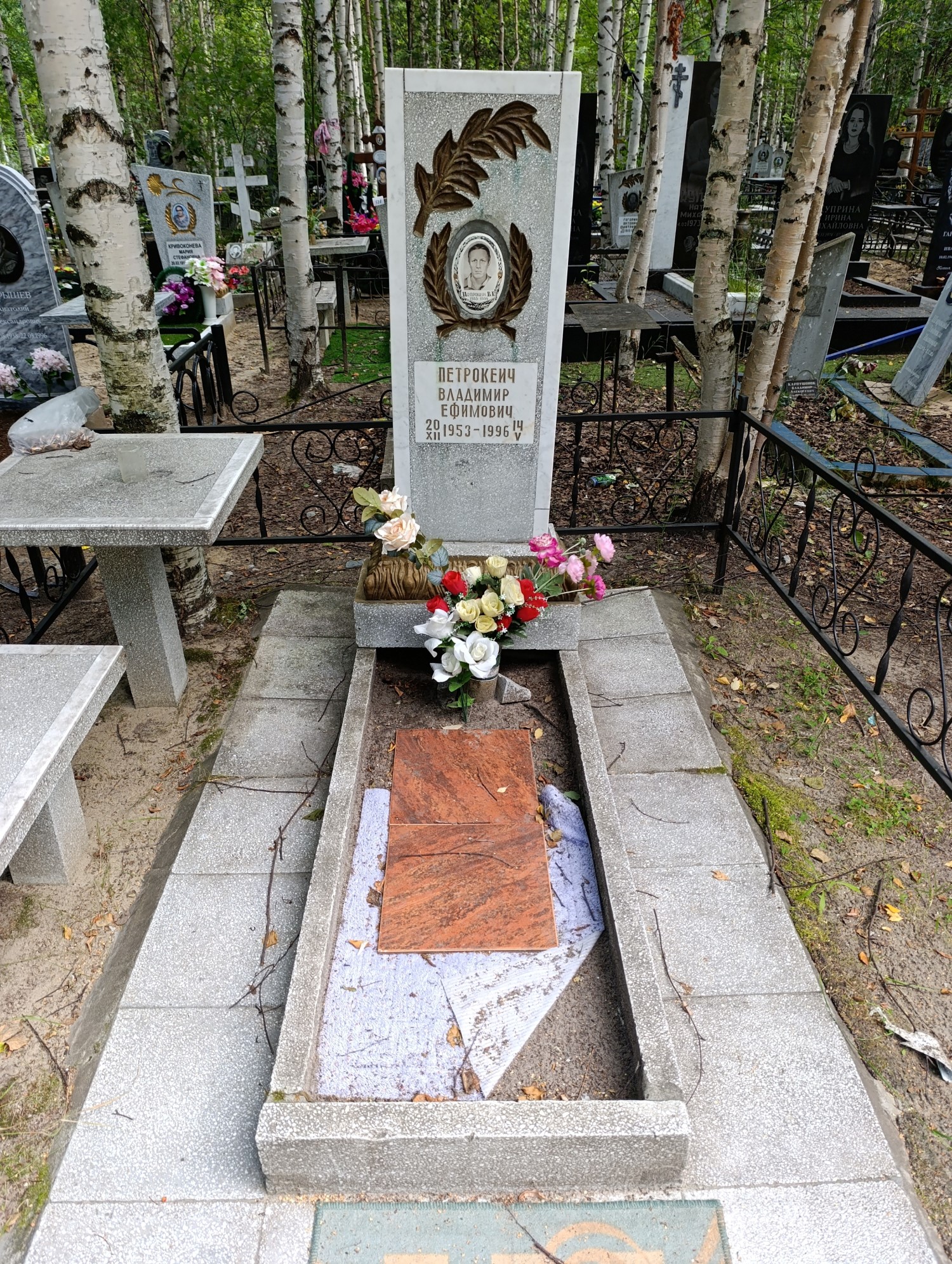 Петрокеич Владимир Ефимович