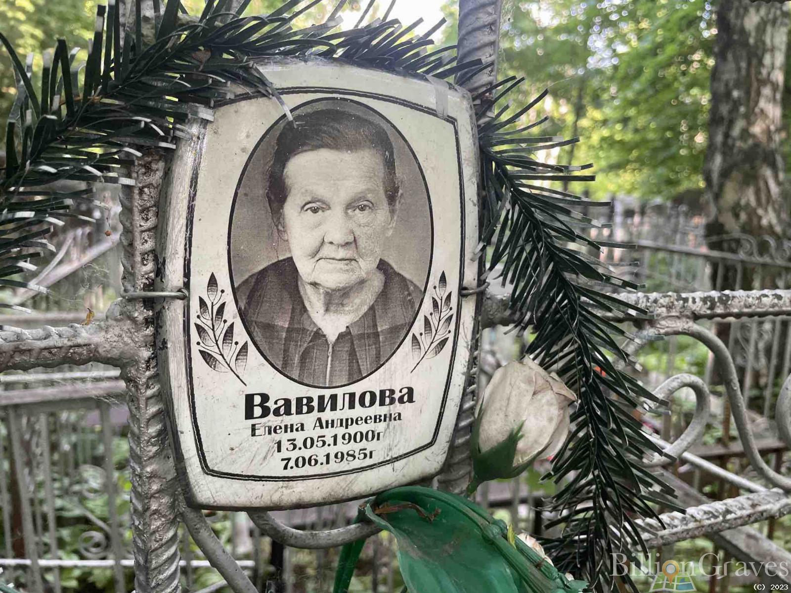 Вавилова Елена Андреевна