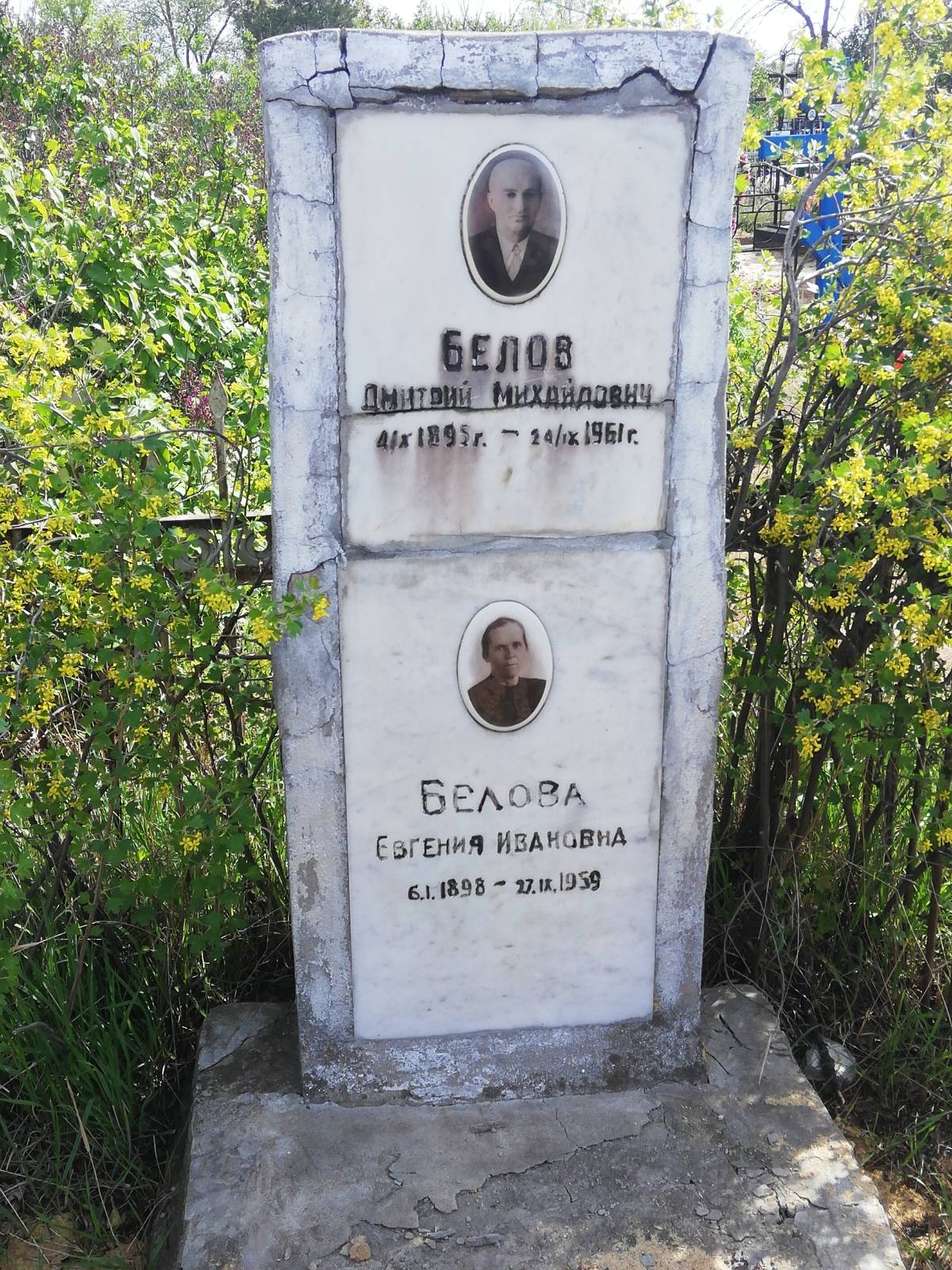 Белова Дмитрий Михайлович