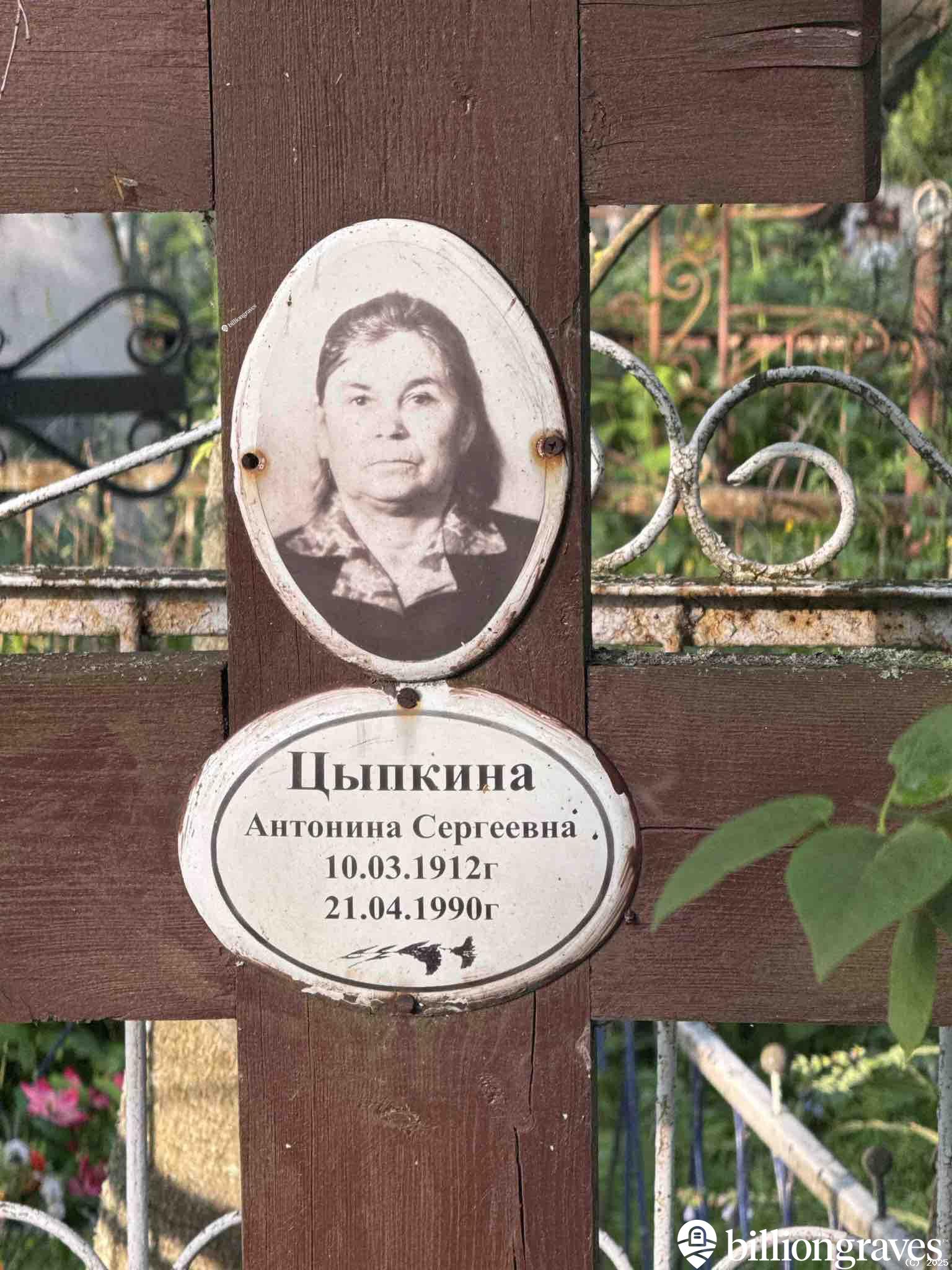 Цыпкина Антонина Сергеевна