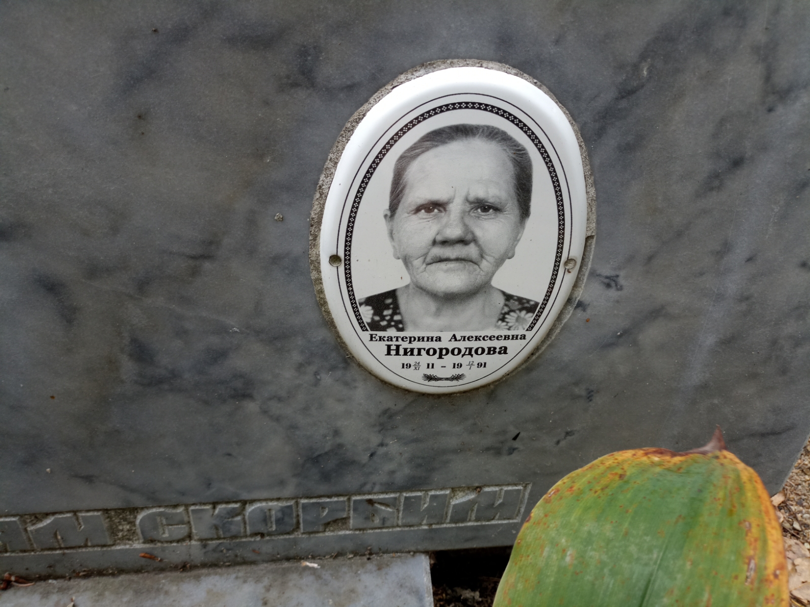 Нигородова Екатерина Алексеевна