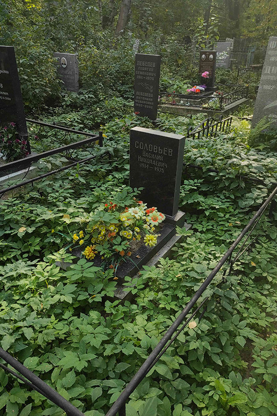 Соловьев Василий Николаевич