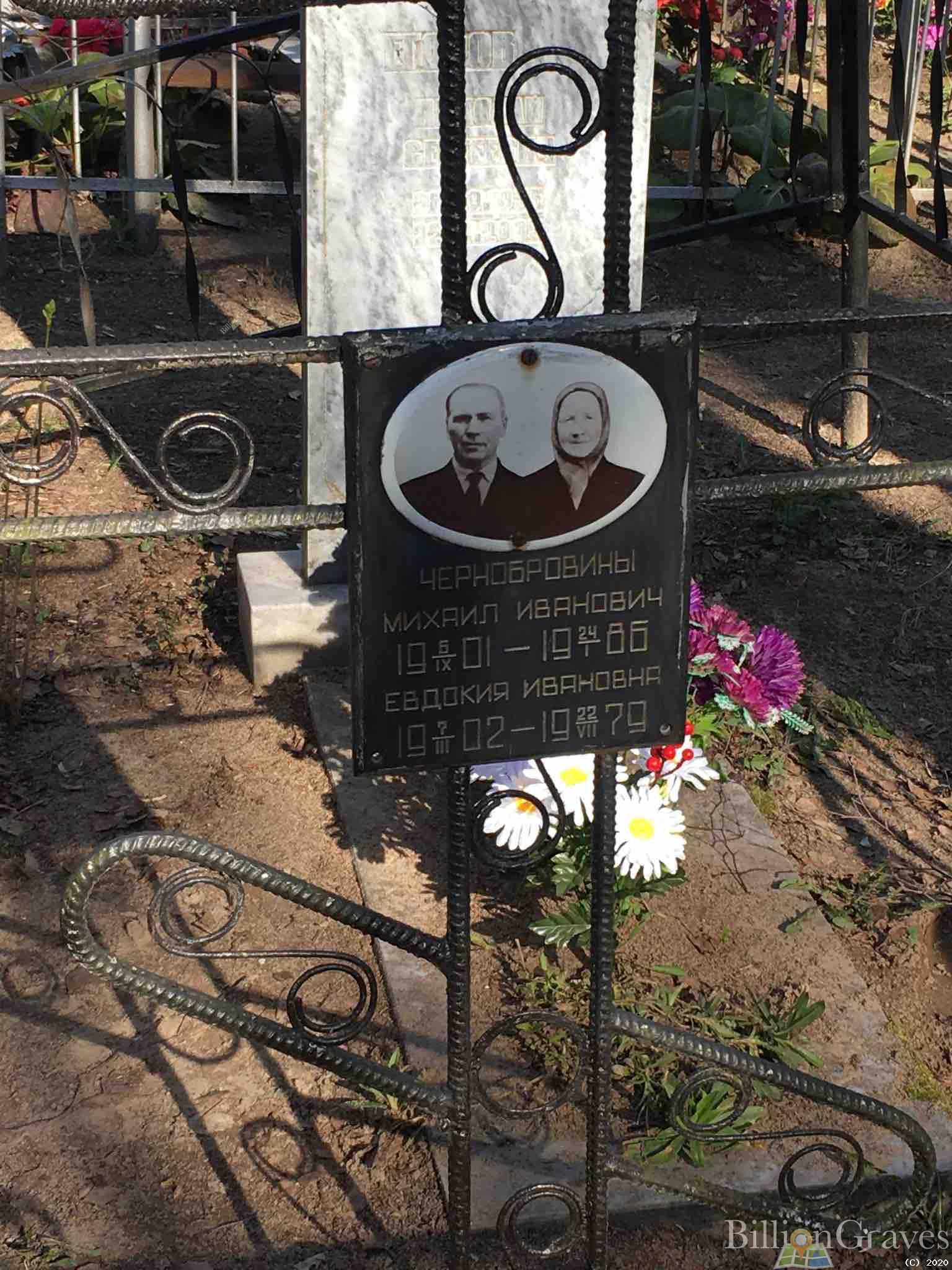Чернобровина Евдокия Ивановна