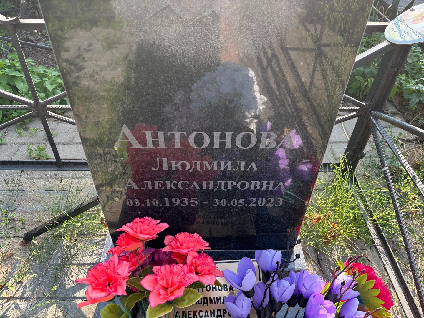 Антонова