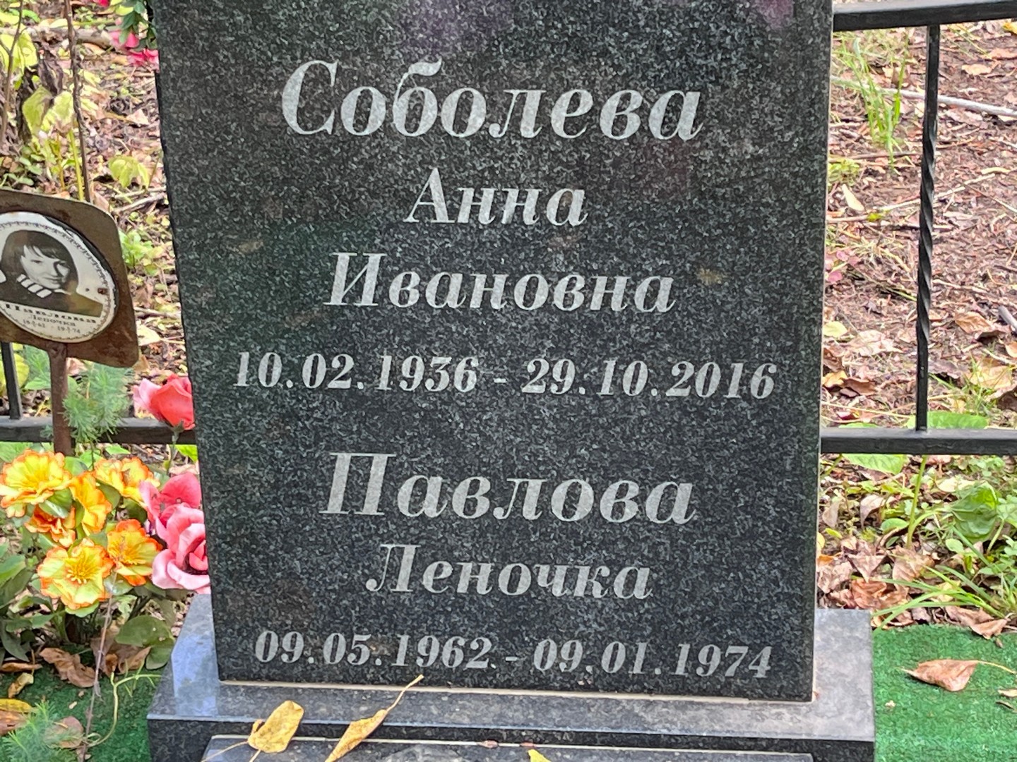 Соболева