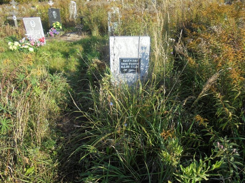 Валегжанин Виктор Федорович