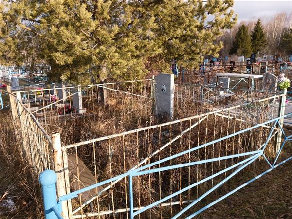 Николаев Николай Андреевич