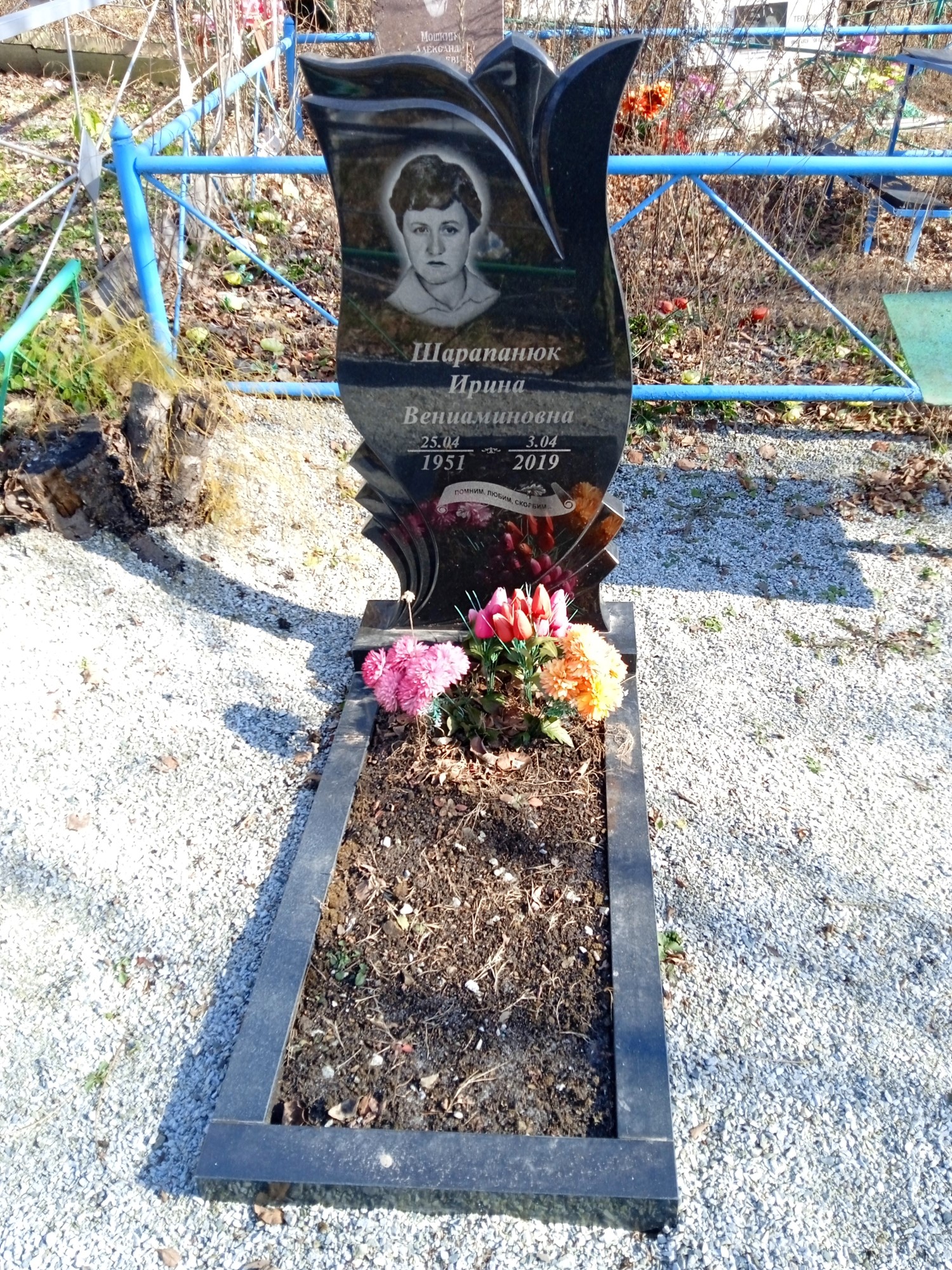 Шарапанюк Ирина Вениаминовна