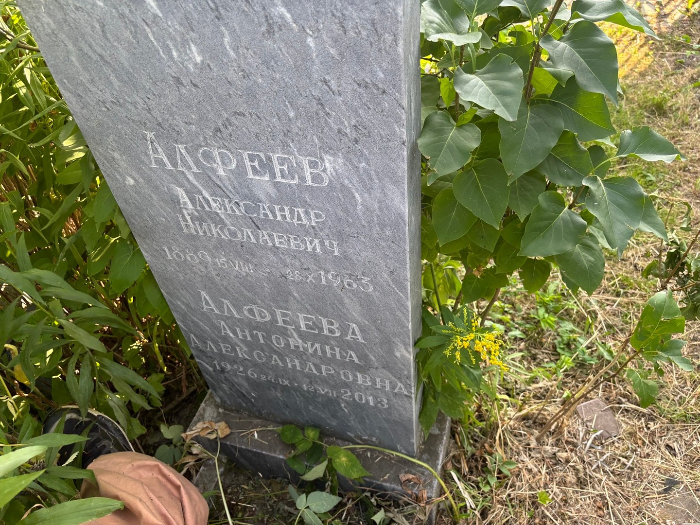 Алфеев