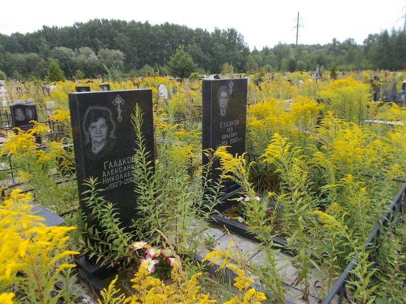 Гладкова Александра Николаевна