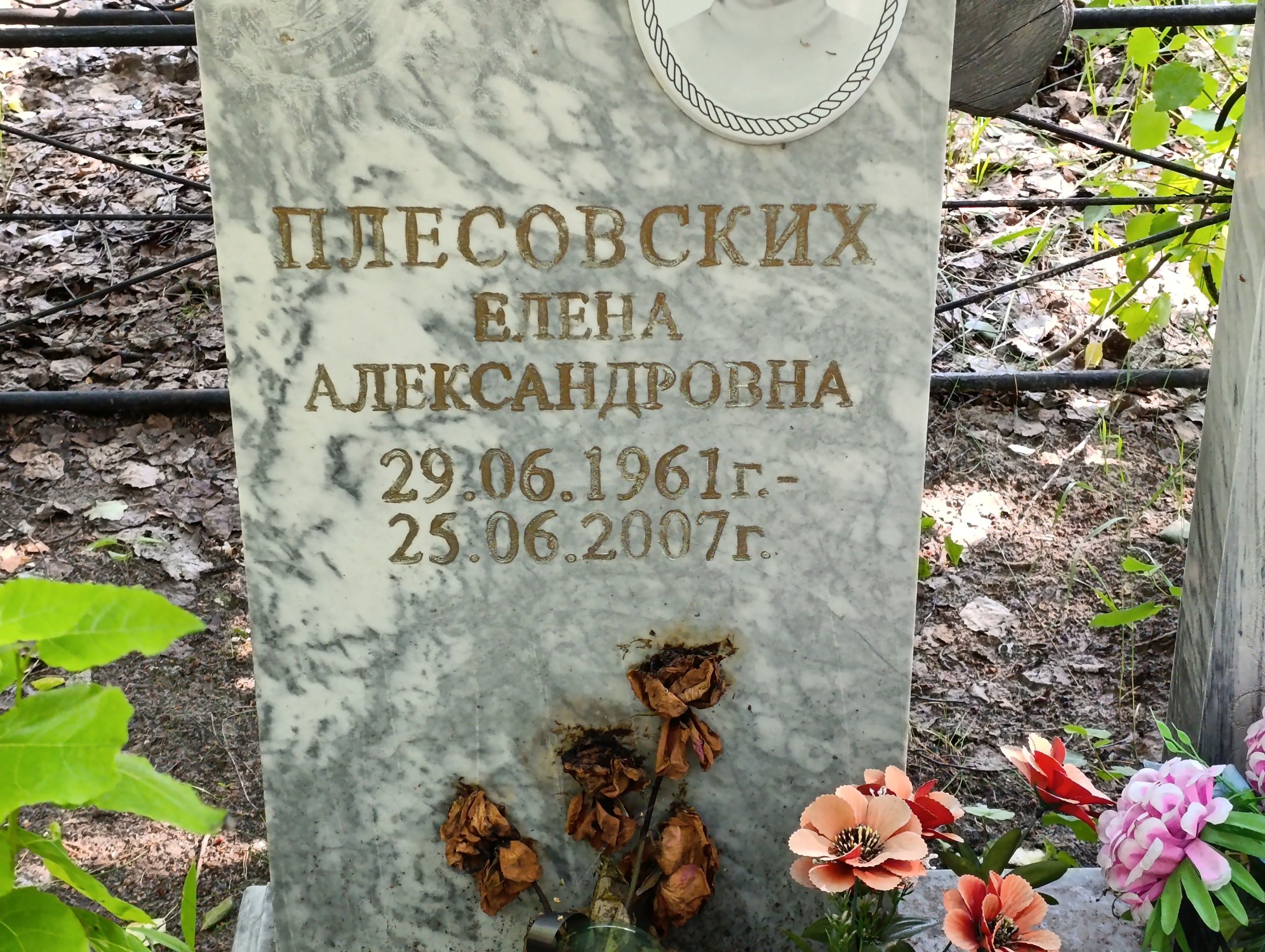 Плесовских Елена Александровна