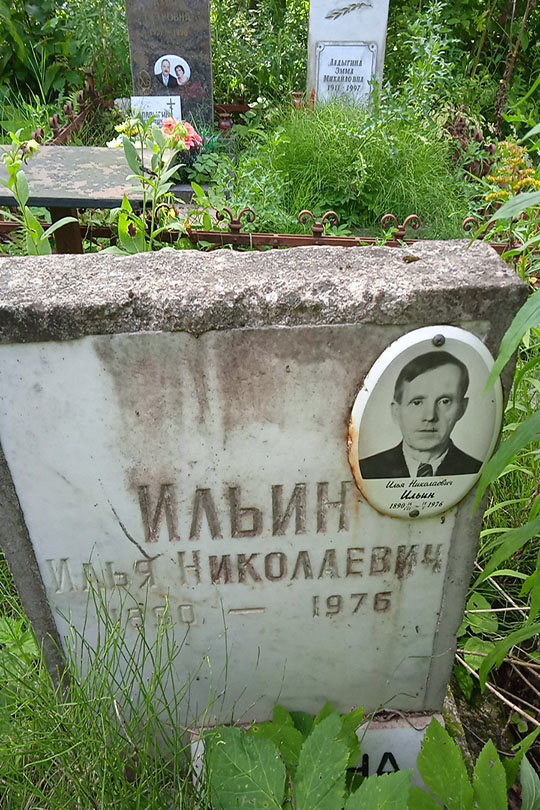 Ильина А. И.