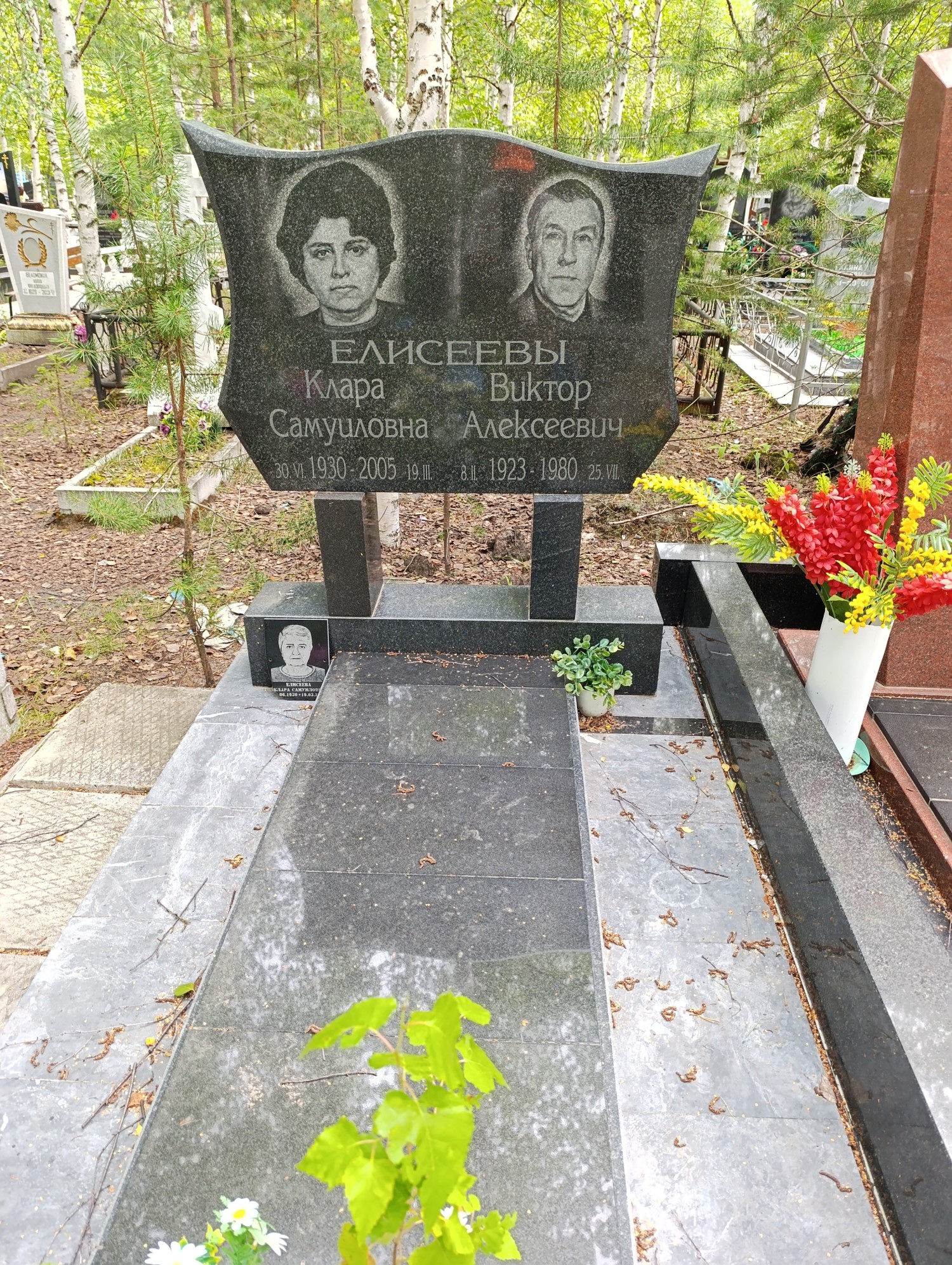 Елисеев Виктор Алексеевич