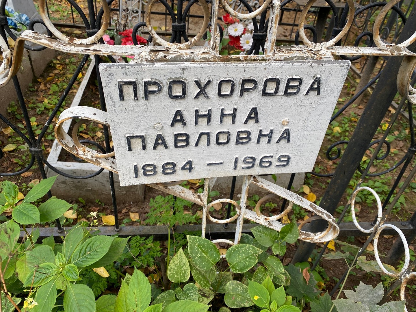 Прохорова