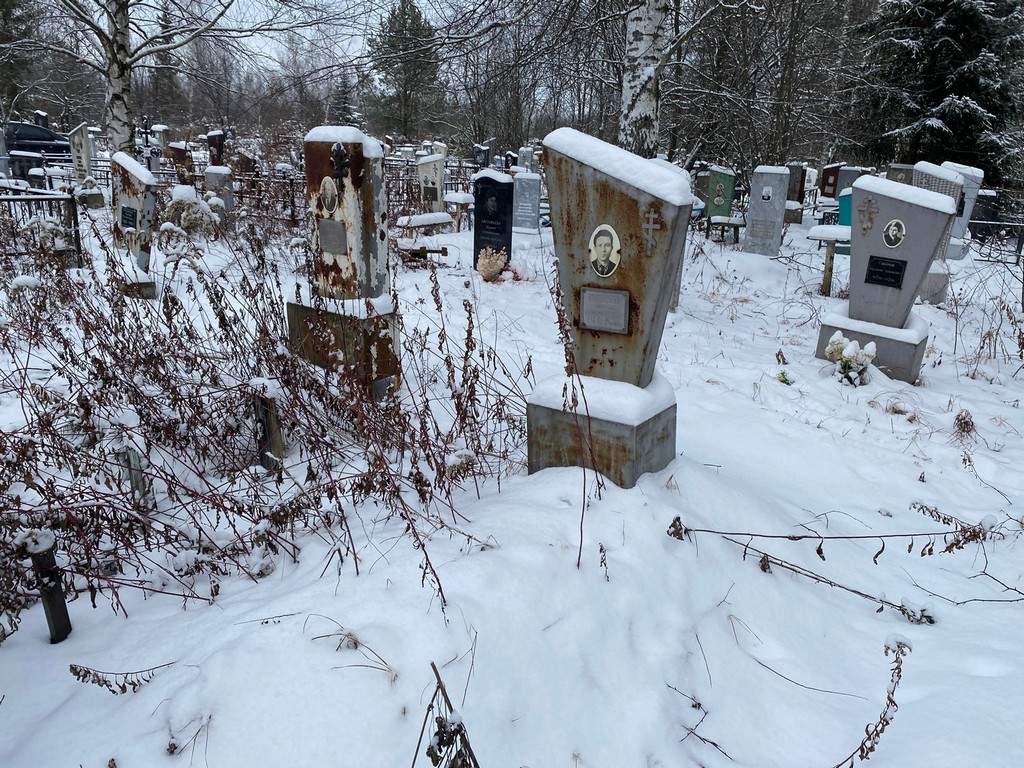 Тихонов Вячеслав Васильевич