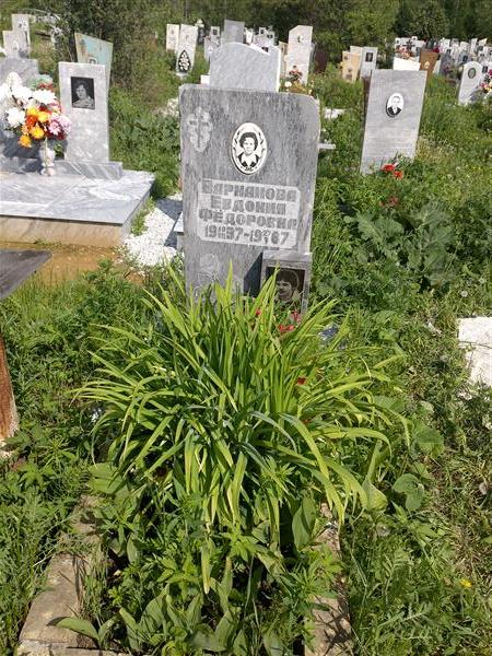 Варнакова Евдокия Фёдоровна