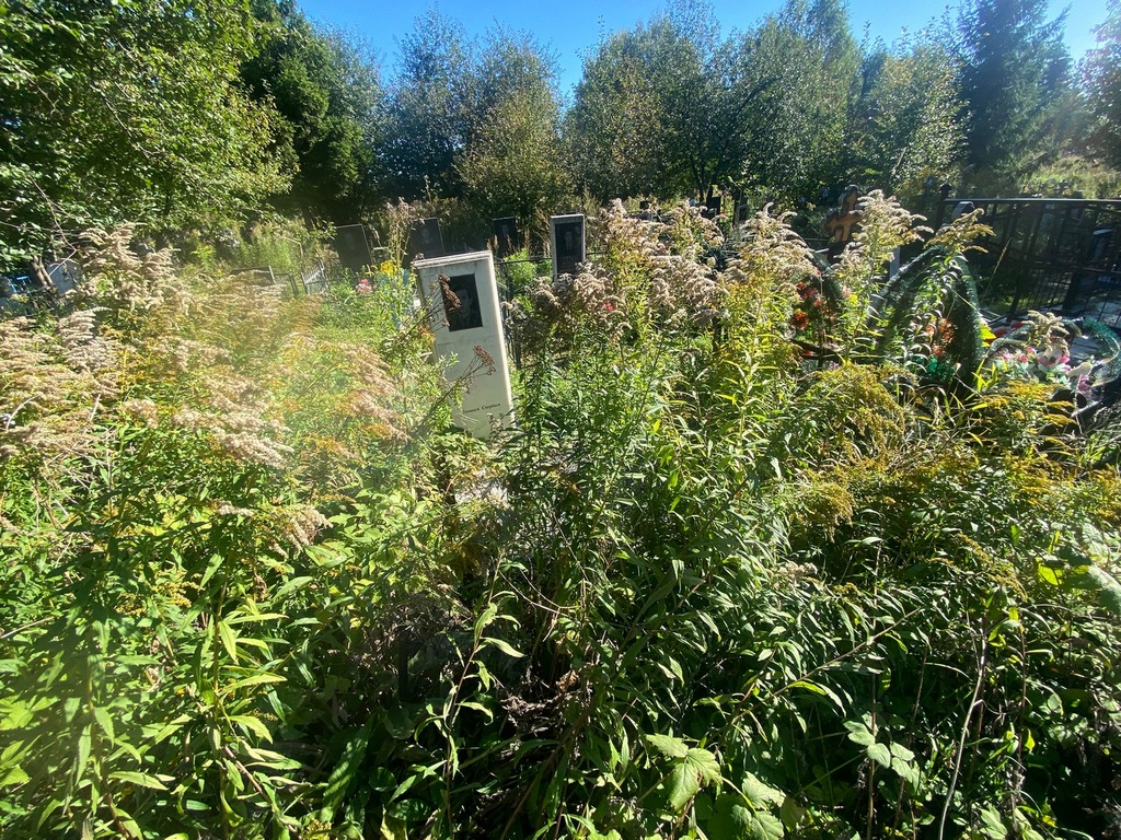 Кунев Николай Александрович