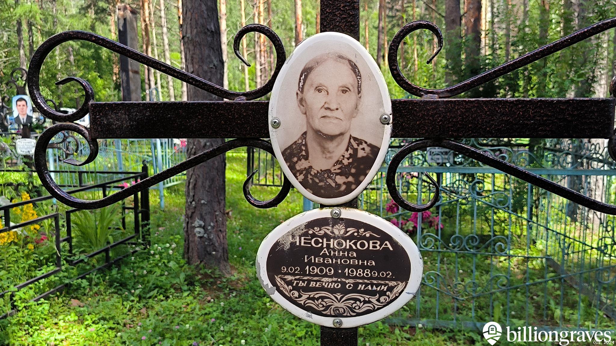 Чеснокова Анна Ивановна