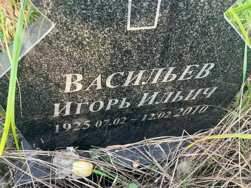 Васильев