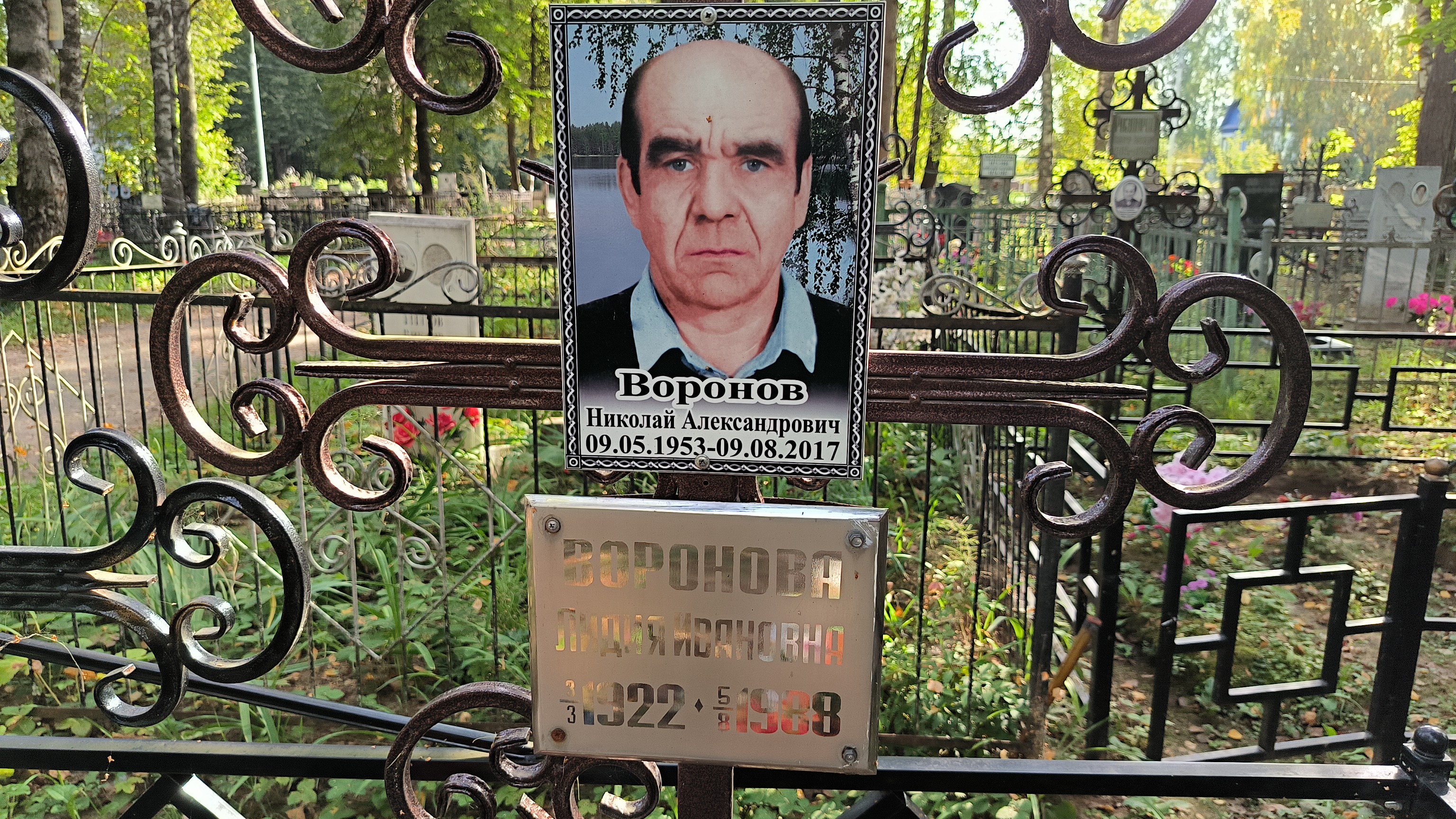 Воронов Николай Александрович
