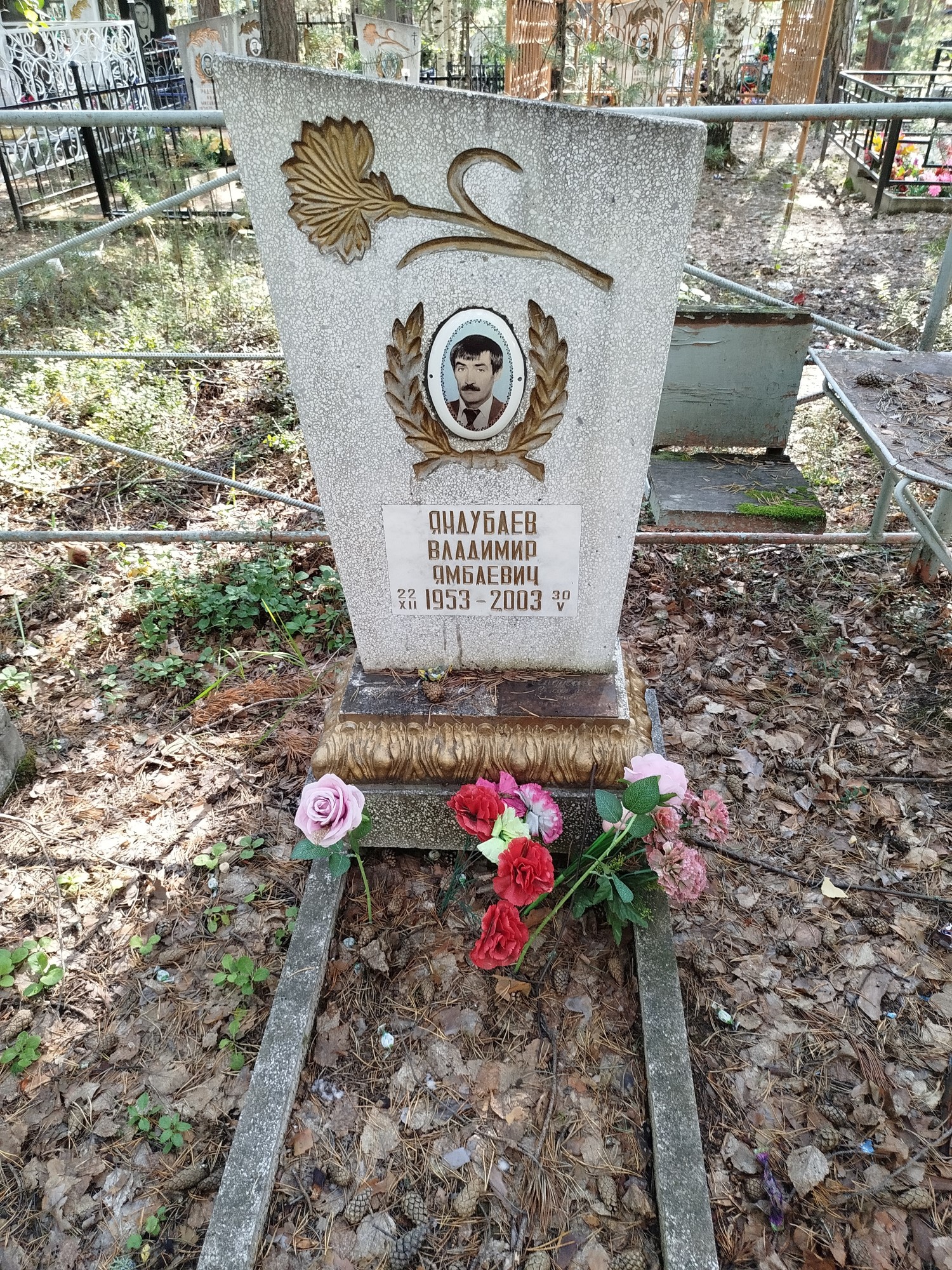Яндубаев Владимир Ямбаевич