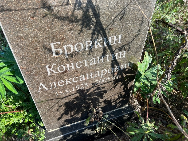 Бровкин