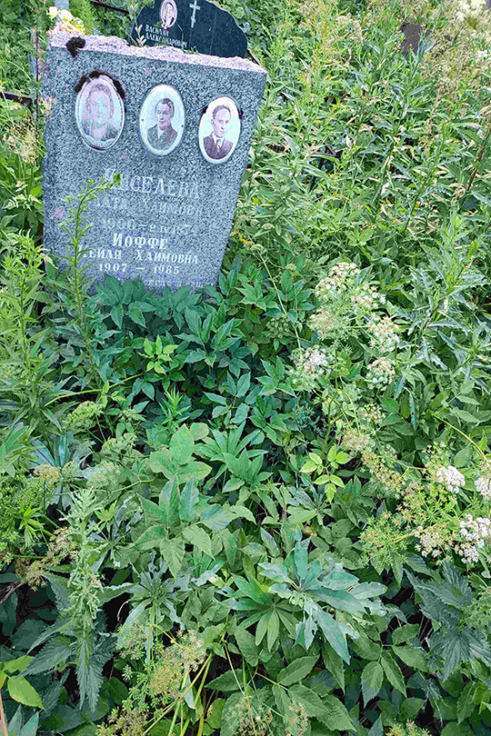 Киселева Злата Хаимовна