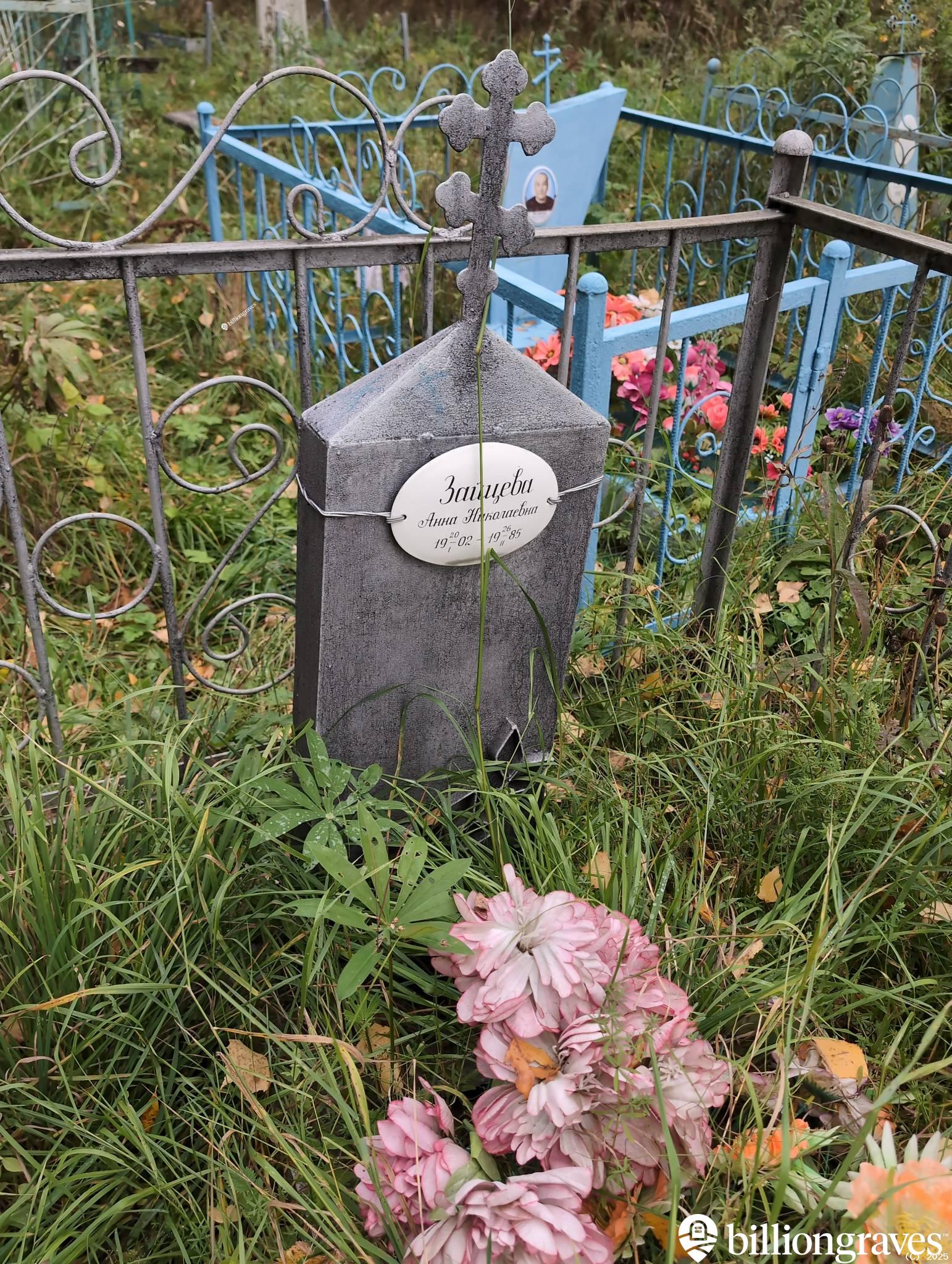 Зайцева Анна Николаевна