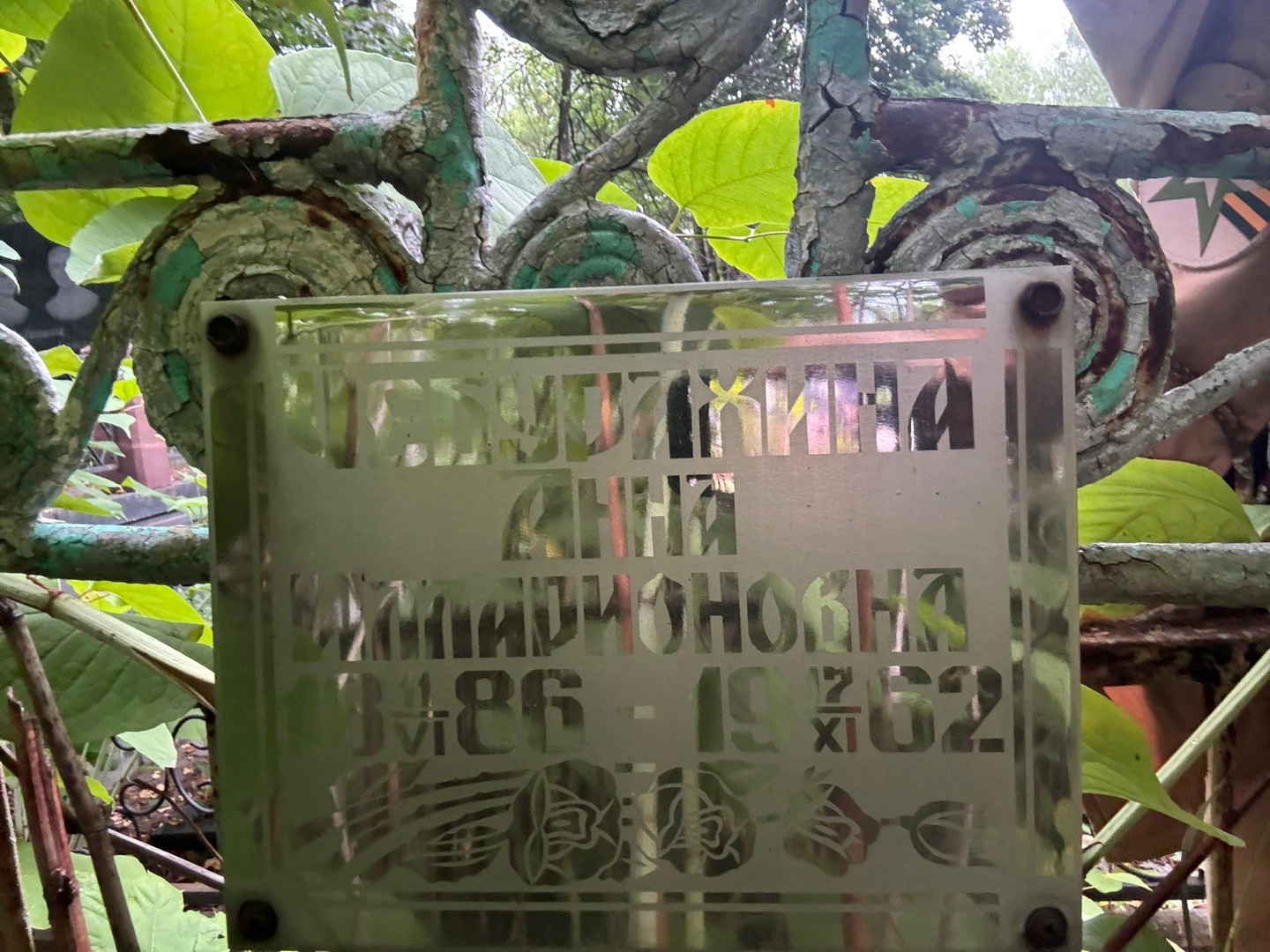Чебурахина