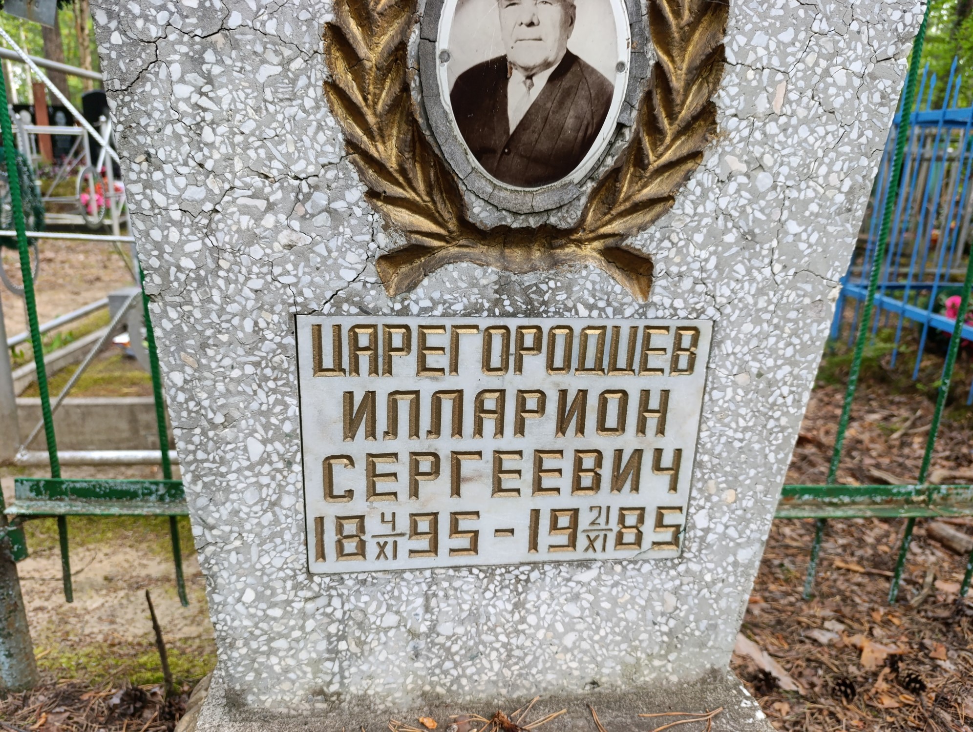 Царегородцев Илларион Сергеевич