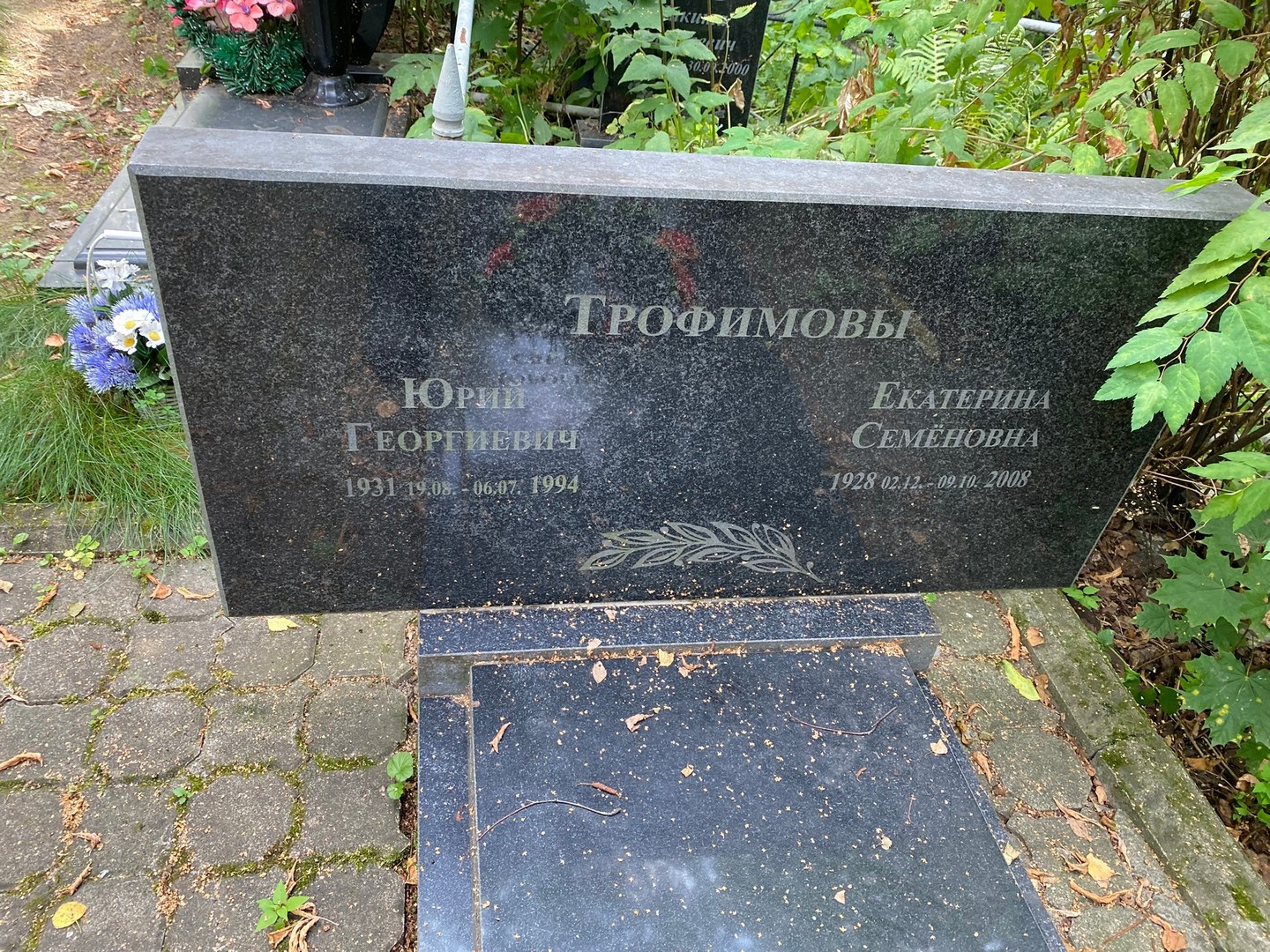 Трофимов