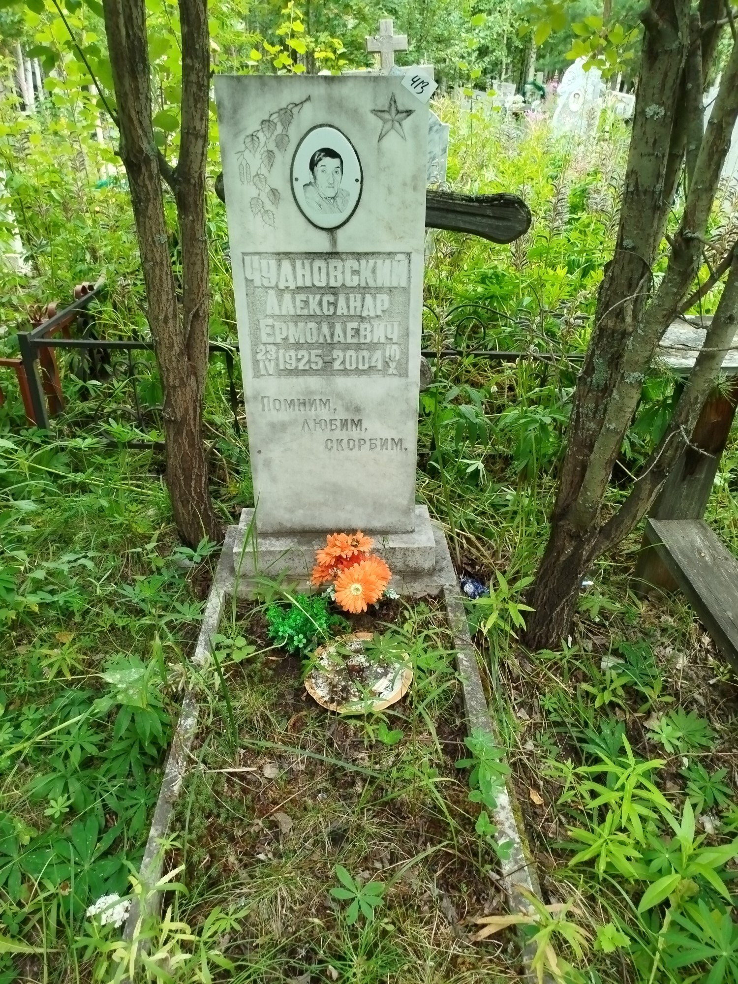 Чудновский Александр Ермолаевич