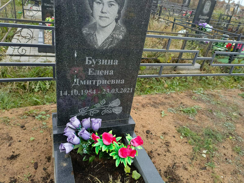 Бузина