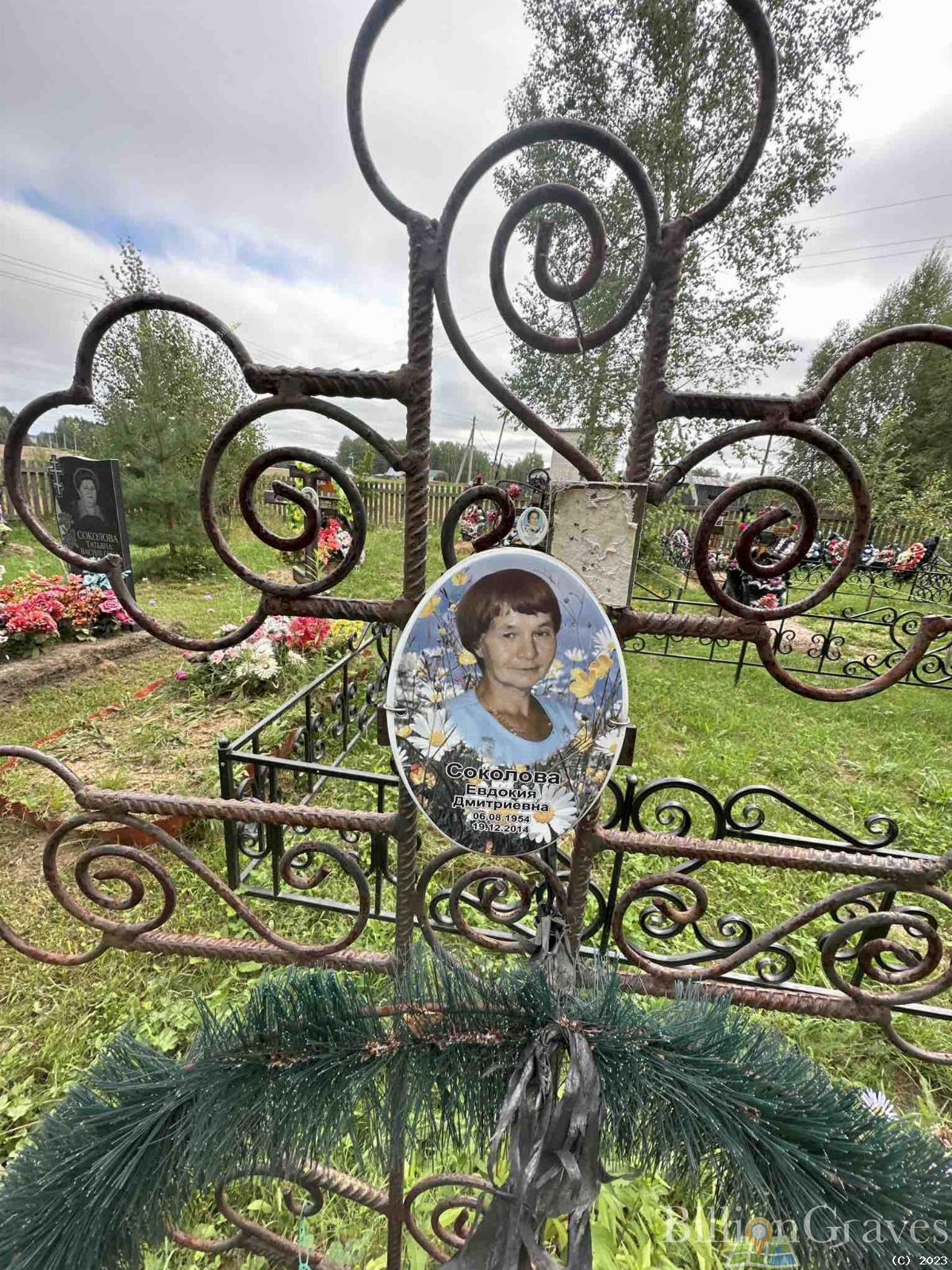 Соколова Евдокия Дмитриевна
