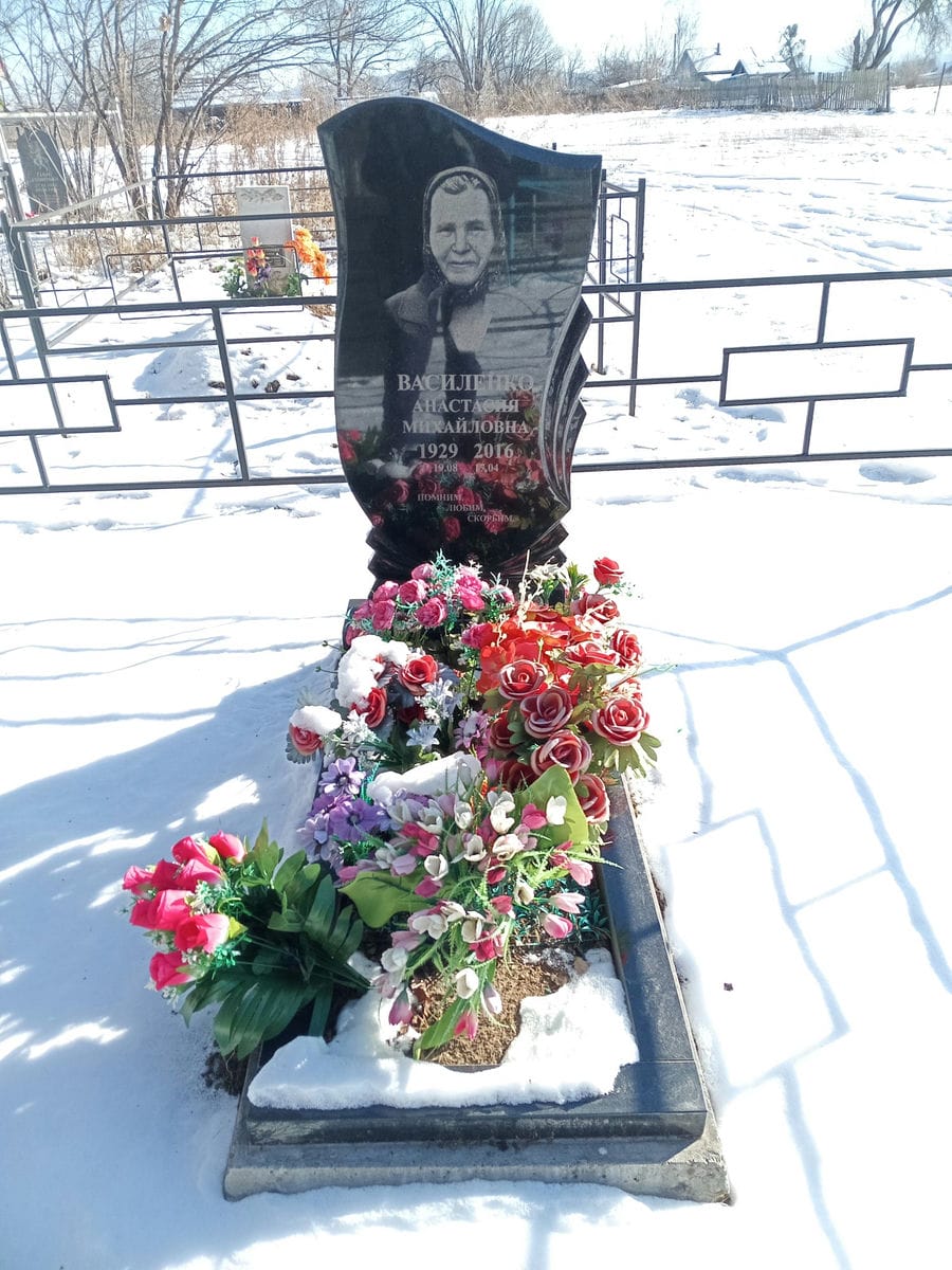 Василенко Анастасия Михайловна
