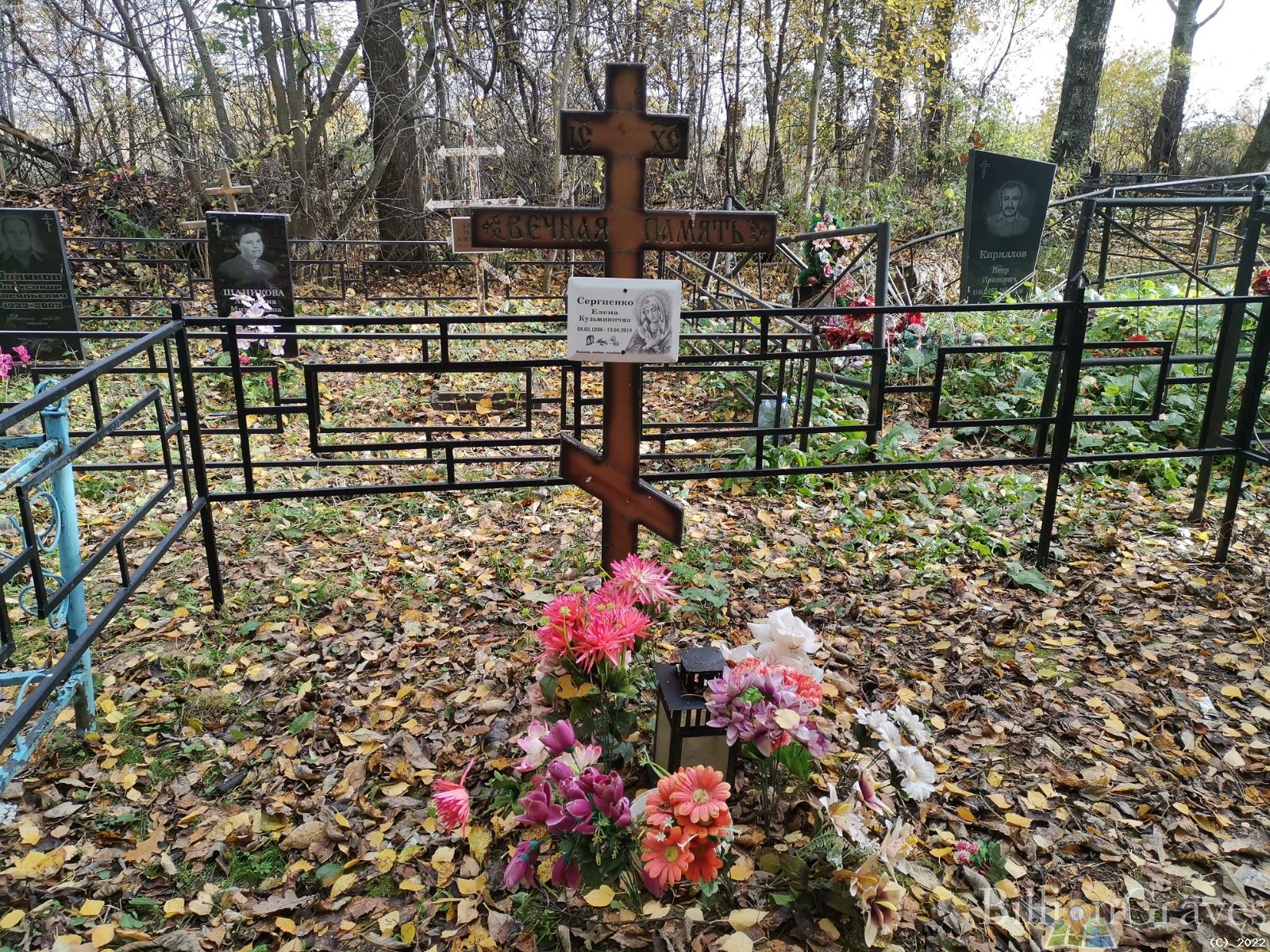 Сергиенко Елена Кузьминична
