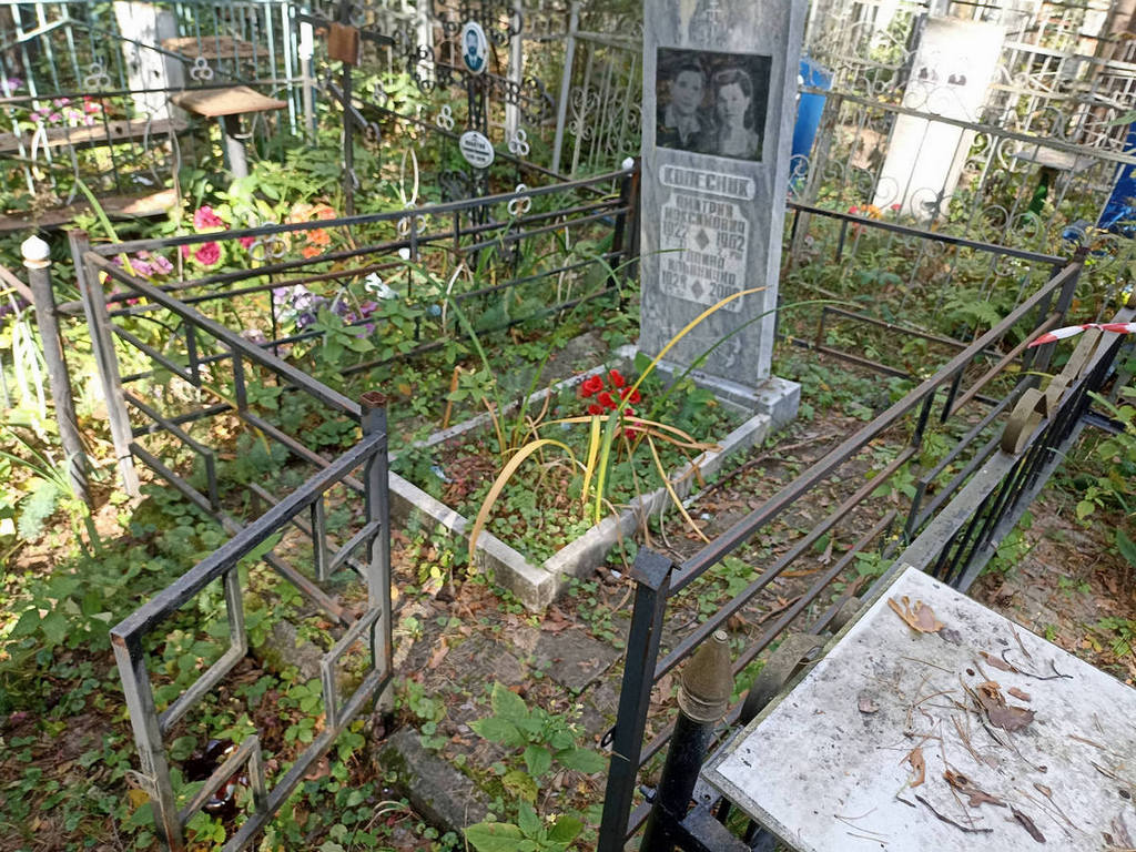 Колесник Галина Ильинична