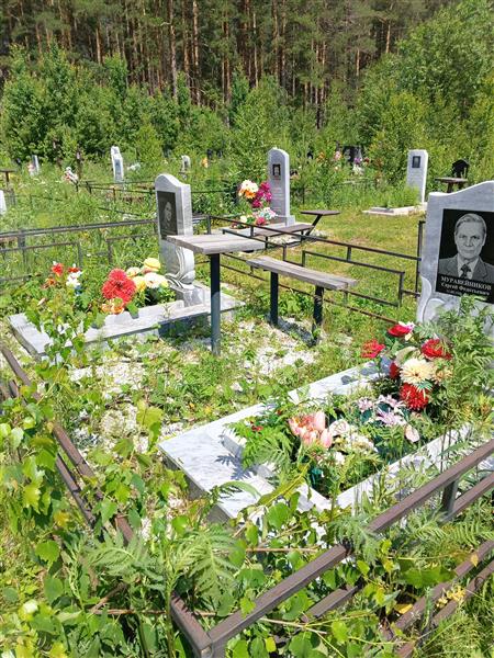 Муравейникова Александра Васильевна