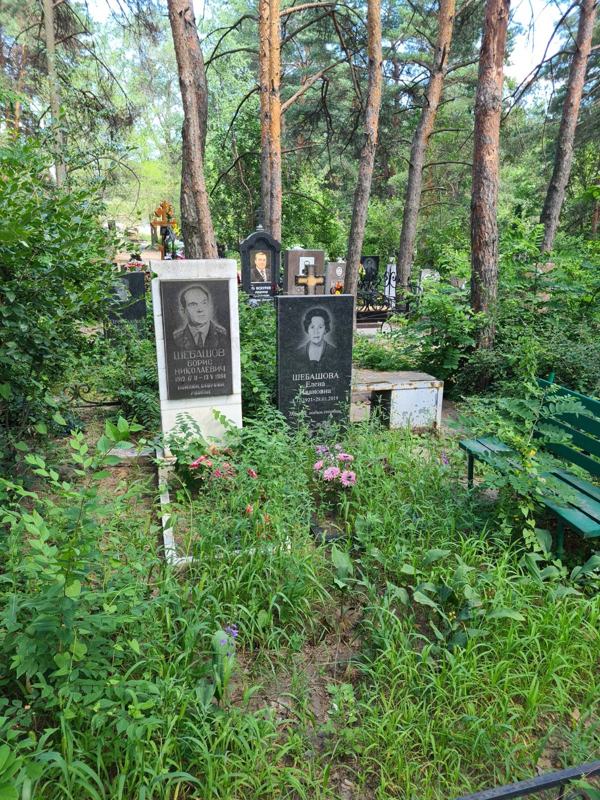 Шебашов Борис Николаевич