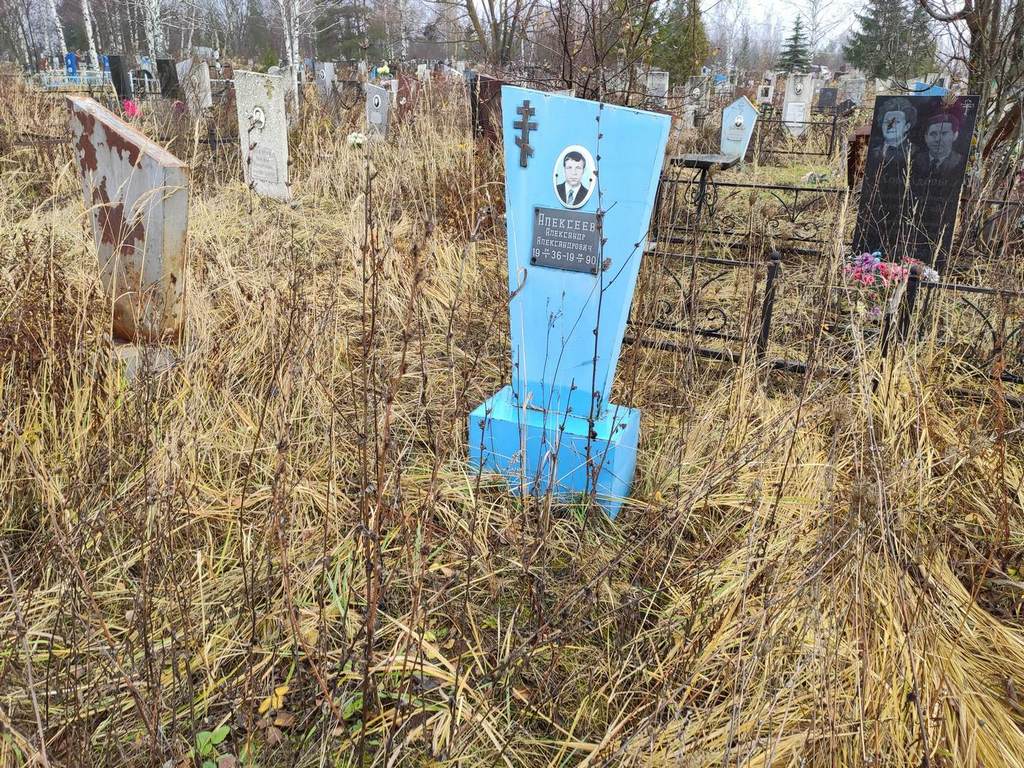 Алексеев Александр Александрович