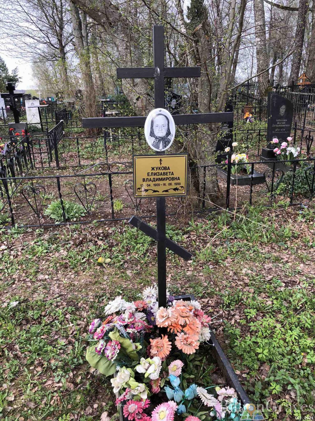 Жукова Елизавета Владимировна