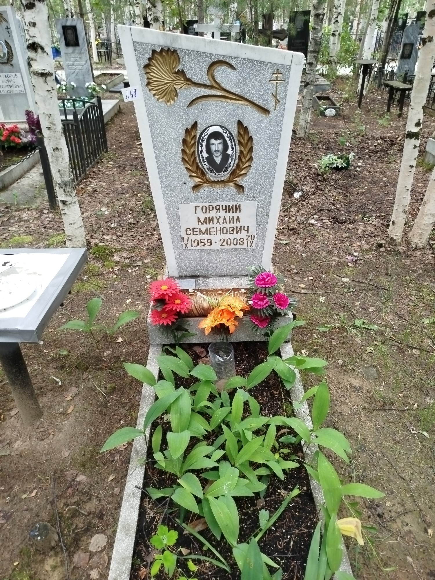 Горячий Михаил Семенович