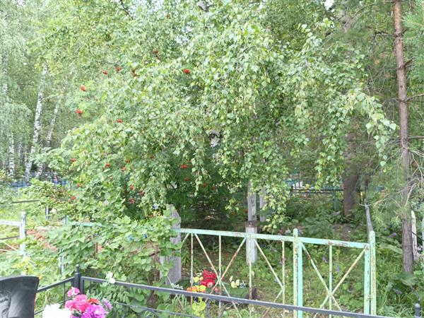 Мочанов Роберт Александрович