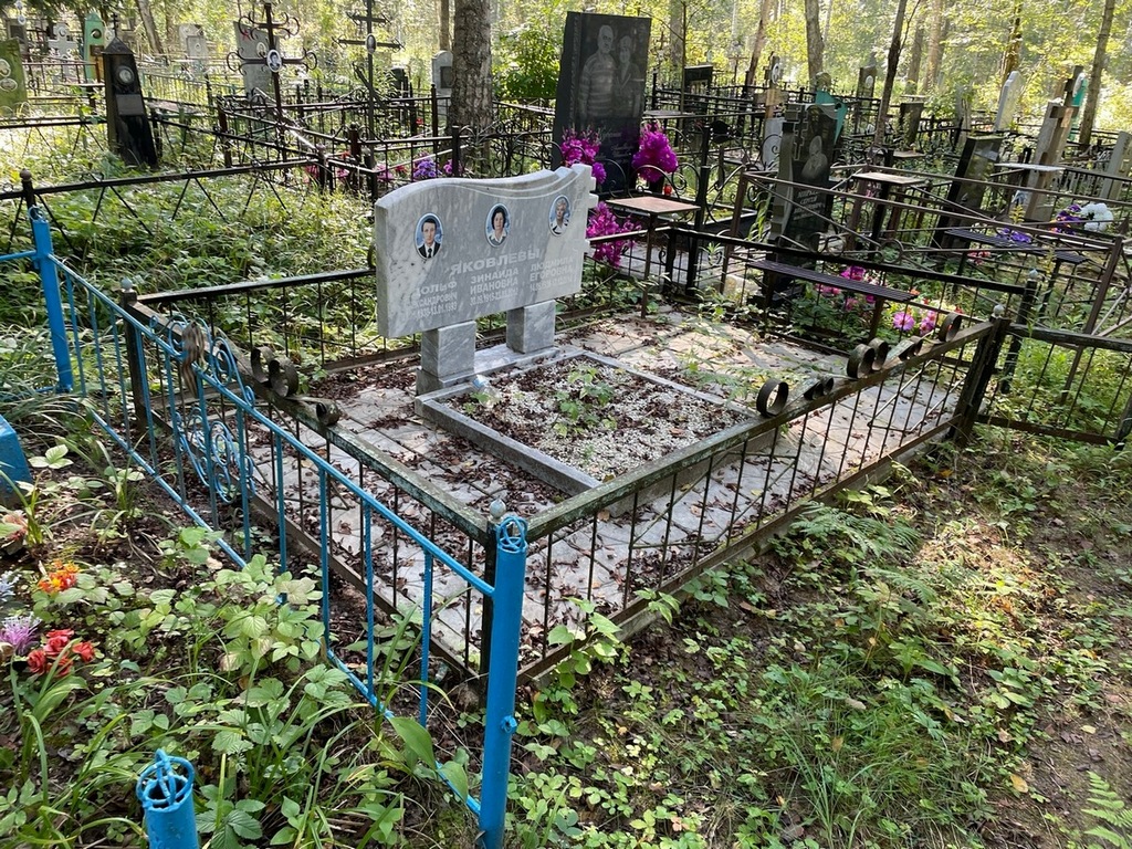 Яковлев Адольф Александрович