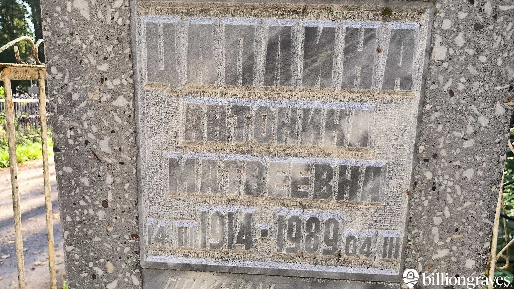 Цаплин Александр Иванович