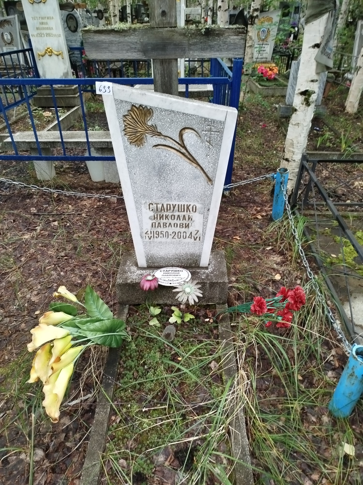 Старушко Николай Павлович