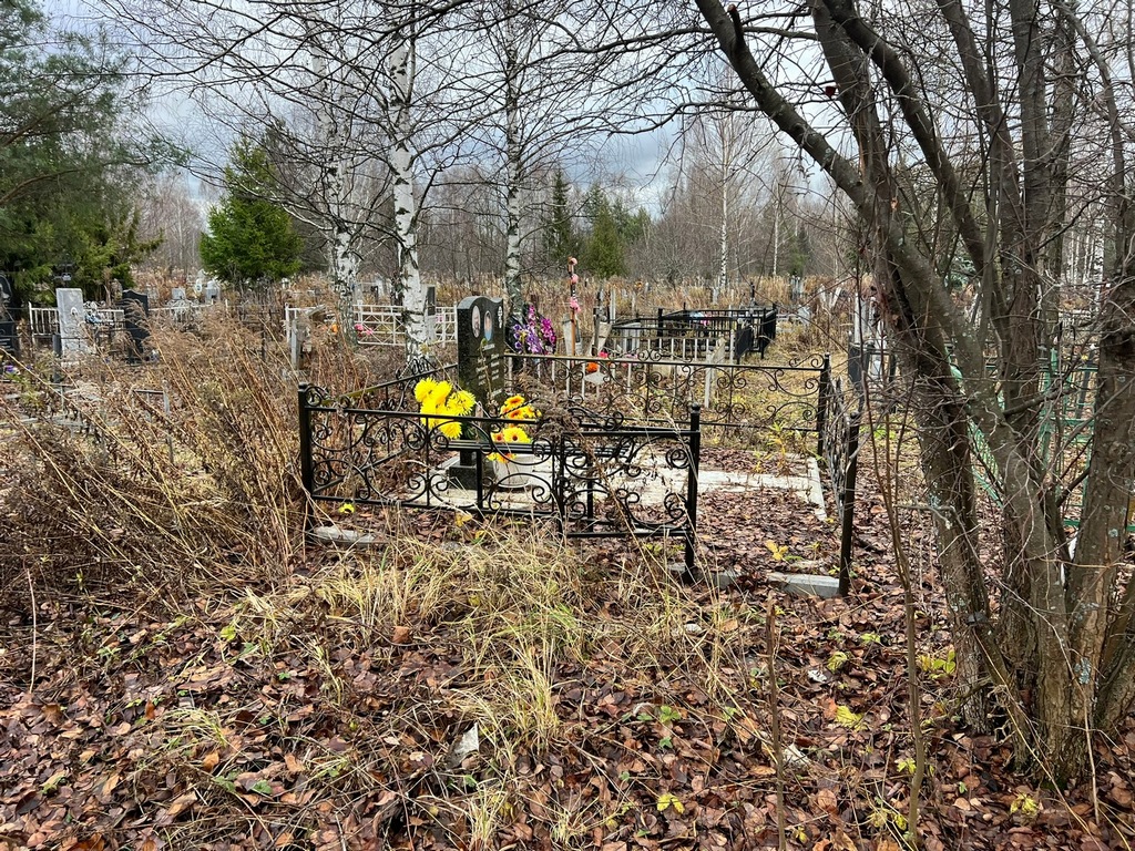 Ендолов Николай Григорьевич