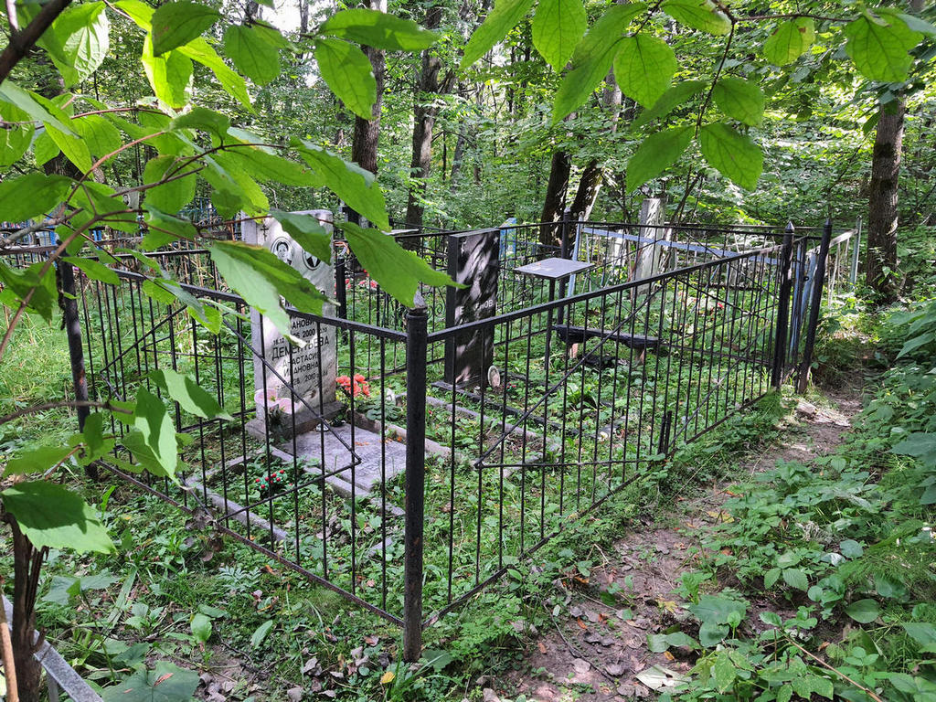 Дементьев Николай Иванович
